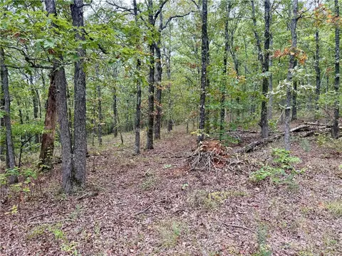 tbd Madison 3370, Witter, AR 72776 photo 29