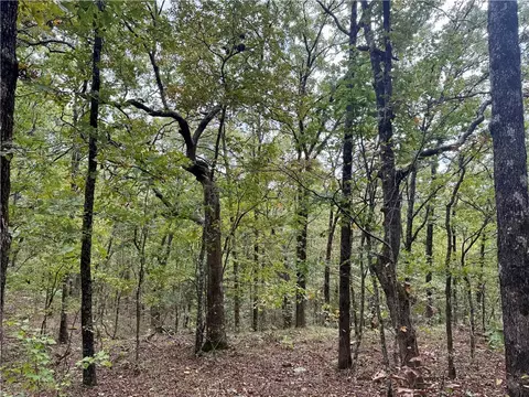 tbd Madison 3370, Witter, AR 72776 photo 22