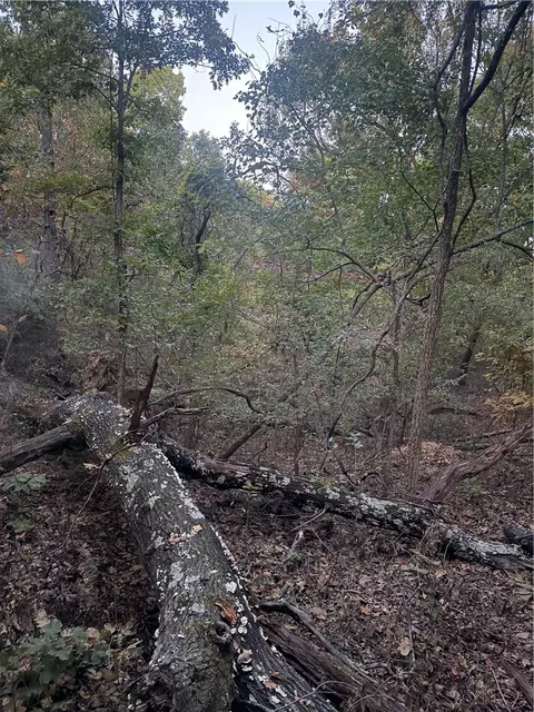Glasgow Drive, Bella Vista, AR 72715