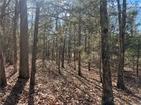 County Rd 972, Alpena, AR 72611 photo 8