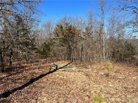 County Rd 972, Alpena, AR 72611 photo 9