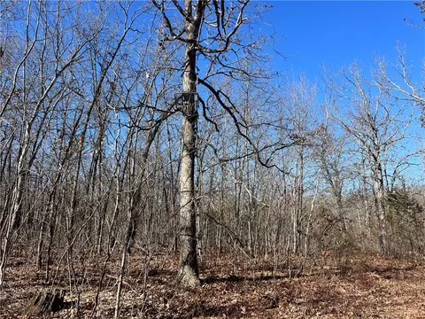 County Rd 972, Alpena, AR 72611 photo 13