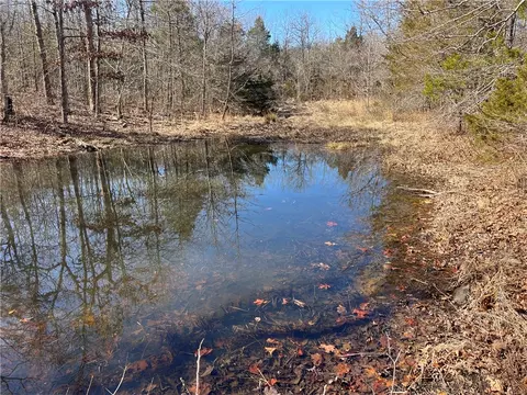 County Rd 972, Alpena, AR 72611 photo 14