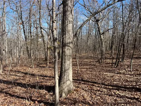 County Rd 972, Alpena, AR 72611 photo 11