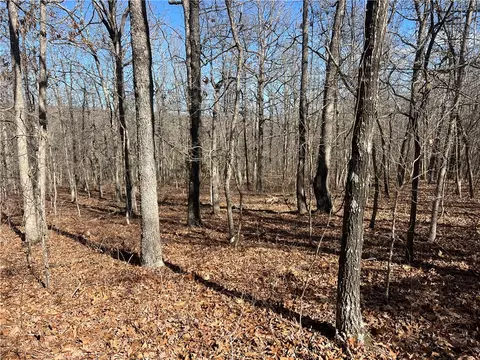 County Rd 972, Alpena, AR 72611 photo 12