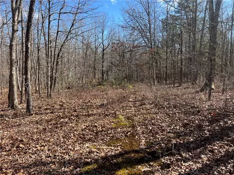 County Rd 972, Alpena, AR 72611 photo 10