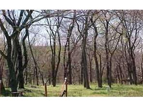 13744 Cincinnati Rd, Summers, AR 72769 photo 2