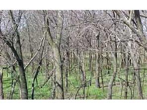 13744 Cincinnati Rd, Summers, AR 72769 photo 5