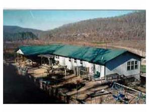 1099 Madison Co Rd 4425, Combs, AR 72721 photo 1
