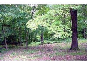 808 Summit Loop, Rogers, AR 72756 photo 7