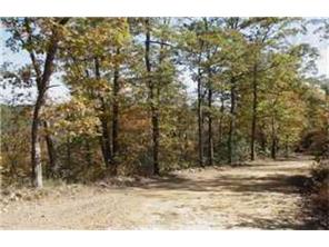 328 Fly Gap Rd W, Combs, AR 72721 photo 9