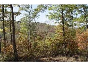 328 Fly Gap Rd W, Combs, AR 72721 photo 8