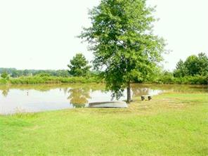 3900 Hwy 252 Hwy, Fort Smith, AR 72933 photo 3