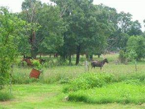 15780 Twelve Corners Rd, Garfield, AR 72732 photo 9