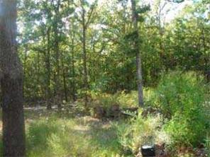 732 Madison 7880, Wesley, AR 72773 photo 2