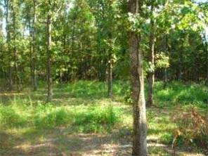 732 Madison 7880, Wesley, AR 72773 photo 3