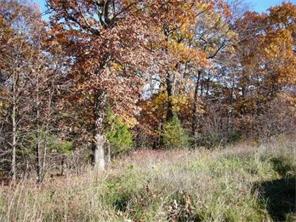 15486 Low Gap Rd, West Fork, AR 72774 photo 6