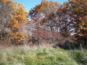 15486 Low Gap Rd, West Fork, AR 72774 photo 8