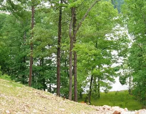 lot5 Edgewater Dr, Rogers, AR 72756 photo 5