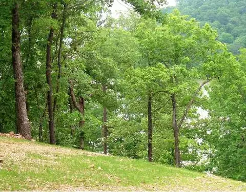 lot5 Edgewater Dr, Rogers, AR 72756 photo 7