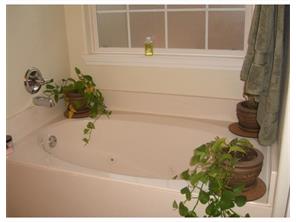 125 Fox Run Cir, Centerton, AR 72719 photo 8