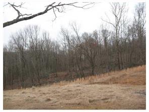 227 Madison 5356 Ln, Combs, AR 72721 photo 9