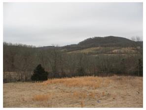 227 Madison 5356 Ln, Combs, AR 72721 photo 10