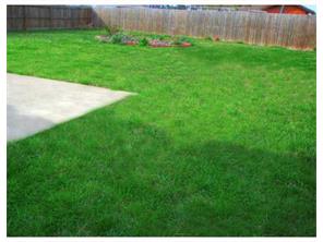 1314 Apache Tr, Springdale, AR 72764 photo 8