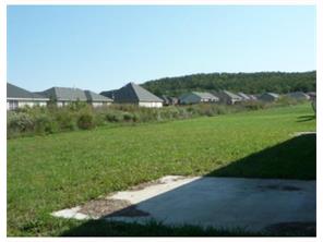 1316 Homestead Loop, Springdale, AR 72764 photo 15