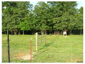 21600 Hickory Flat Rd, Springdale, AR 72764 photo 4