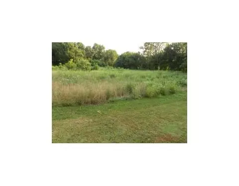 739 Easy St, Noel, MO 64854 photo 3