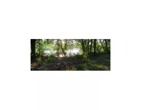 739 Easy St, Noel, MO 64854 photo 4