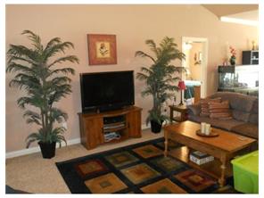 275 Madison 7850 Rd, Wesley, AR 72773 photo 2
