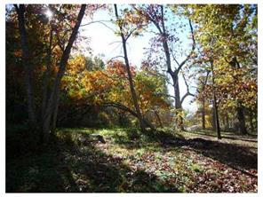 15471 Low Gap Rd, West Fork, AR 72774 photo 4