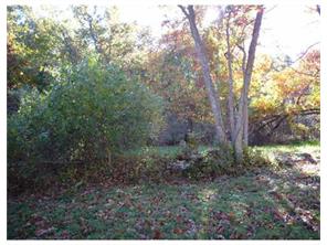 15471 Low Gap Rd, West Fork, AR 72774 photo 5
