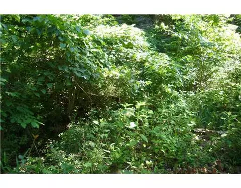 16064 Trace Branch Rd, West Fork, AR 72774 photo 7