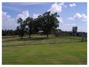 17097 Holcombe School Rd, West Fork, AR 72774 photo 10