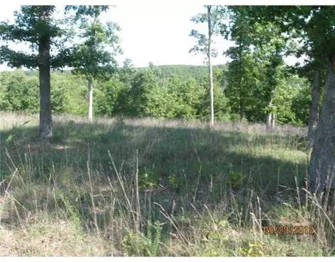 1379 Flag Springs Rd, Powell, MO 65730 photo 5
