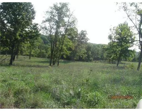 1379 Flag Springs Rd, Powell, MO 65730 photo 4