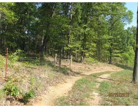 1379 Flag Springs Rd, Powell, MO 65730 photo 8