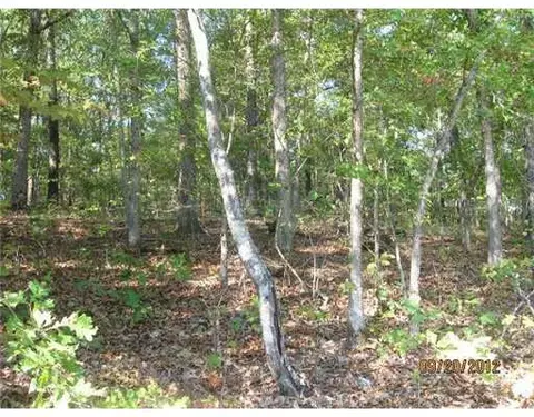 1379 Flag Springs Rd, Powell, MO 65730 photo 3