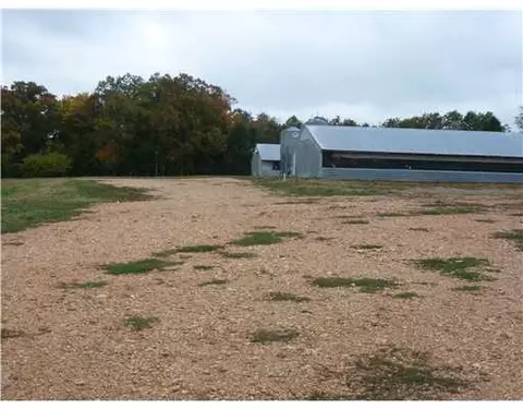 17287 Old House Rd, Gateway, AR 72732 photo 6