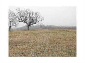 344 Lazy E Rd, Noel, MO 64856 photo 17