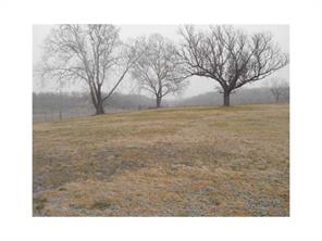 344 Lazy E Rd, Noel, MO 64856 photo 20