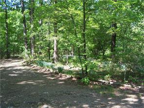 124 Holly Ridge Dr, Mount Ida, AR 71957 photo 6