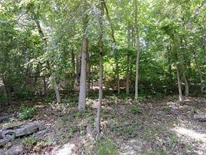 19033 Pinecrest Ln, Rogers, AR 72756 photo 18