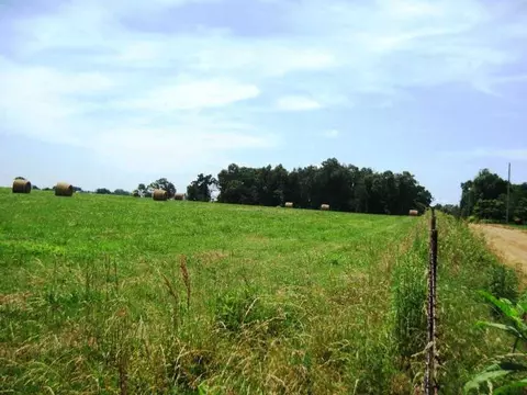tbd State Line Rd, Gentry, AR 72734 photo 8