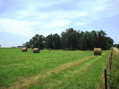 tbd State Line Rd, Gentry, AR 72734 photo 10