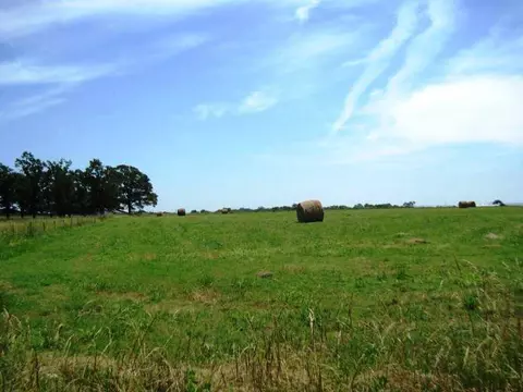 tbd State Line Rd, Gentry, AR 72734 photo 6