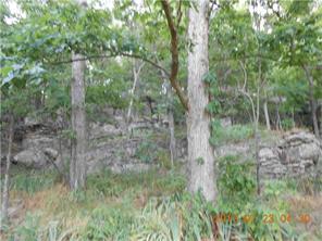 11690 Winter Rd, West Fork, AR 72774 photo 9